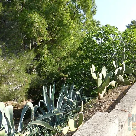 Casa de Férias Casa Lu Sule Puglia On Line