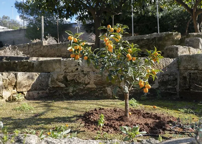 בית נופש Casa Lu Sule Puglia On Line *