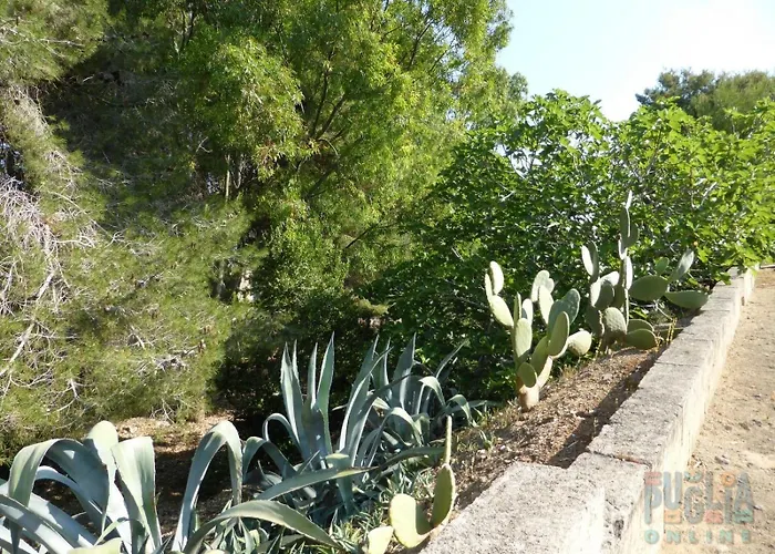 Casa vacanze Casa Lu Sule Puglia On Line